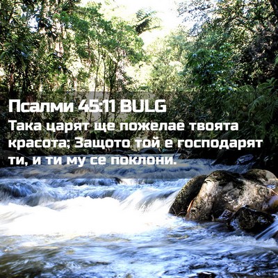 Picture 02 - Псалми 45:11 BULG - Така царят ще пожелае - Bible Verse Picture