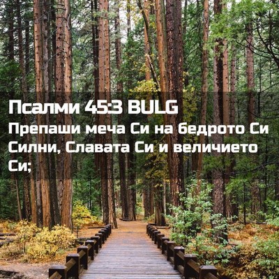 Picture 02 - Псалми 45:3 BULG - Препаши меча Си на бедрото - Bible Verse Picture