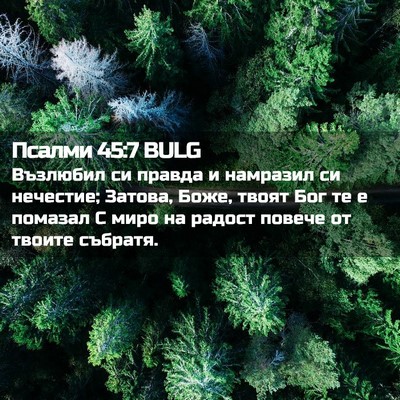 Picture 02 - Псалми 45:7 BULG - Възлюбил си правда и - Bible Verse Picture