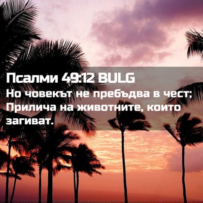 Picture 02 - Псалми 49:12 BULG - Но човекът не пребъдва в - Bible Verse Picture
