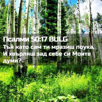 Picture 02 - Псалми 50:17 BULG - Тъй като сам ти мразиш - Bible Verse Picture