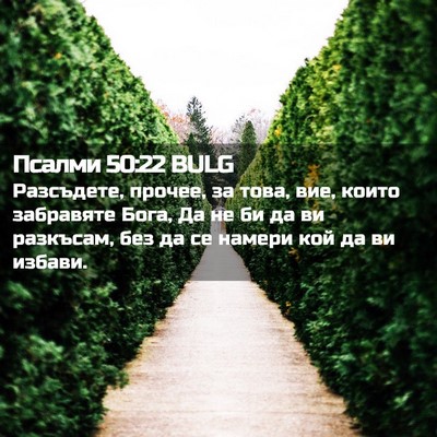 Picture 02 - Псалми 50:22 BULG - Разсъдете, прочее, за това, - Bible Verse Picture