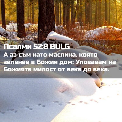 Picture 02 - Псалми 52:8 BULG - А аз съм като маслина, - Bible Verse Picture