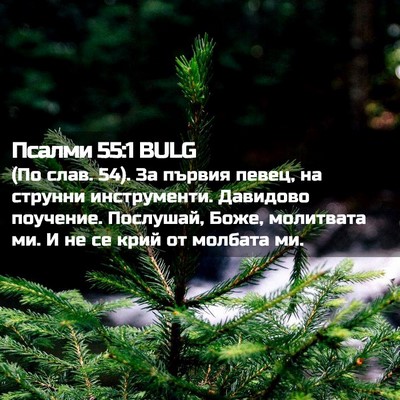 Picture 02 - Псалми 55:1 BULG - (По слав. 54). За първия - Bible Verse Picture