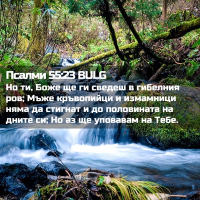 Picture 02 - Псалми 55:23 BULG - Но ти, Боже ще ги сведеш в - Bible Verse Picture