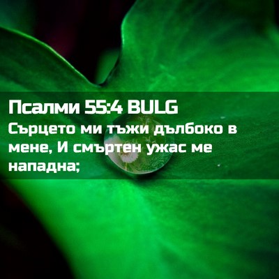Picture 02 - Псалми 55:4 BULG - Сърцето ми тъжи дълбоко в - Bible Verse Picture