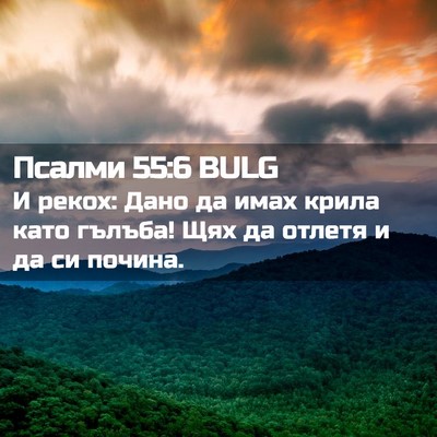 Picture 02 - Псалми 55:6 BULG - И рекох: Дано да имах крила - Bible Verse Picture