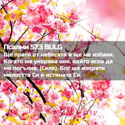Picture 02 - Псалми 57:3 BULG - Ще прати от небесата и ще - Bible Verse Picture