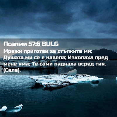 Picture 02 - Псалми 57:6 BULG - Мрежи приготви за стъпките - Bible Verse Picture