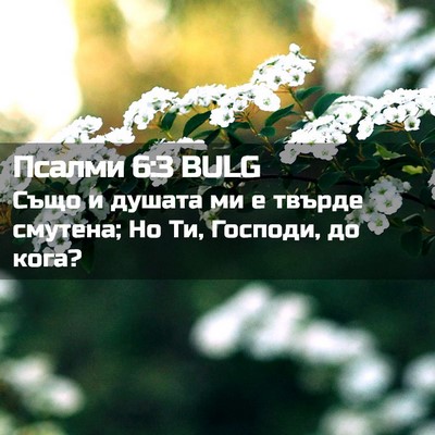 Picture 02 - Псалми 6:3 BULG - Също и душата ми е твърде - Bible Verse Picture
