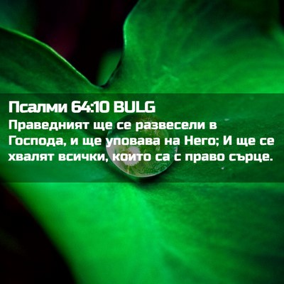 Picture 02 - Псалми 64:10 BULG - Праведният ще се развесели - Bible Verse Picture