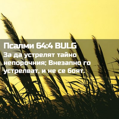 Picture 02 - Псалми 64:4 BULG - За да устрелят тайно - Bible Verse Picture
