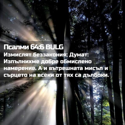 Picture 02 - Псалми 64:6 BULG - Измислят беззакония; - Bible Verse Picture