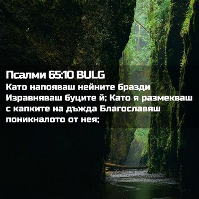 Picture 02 - Псалми 65:10 BULG - Като напояваш нейните - Bible Verse Picture
