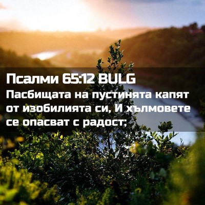Picture 02 - Псалми 65:12 BULG - Пасбищата на пустинята - Bible Verse Picture