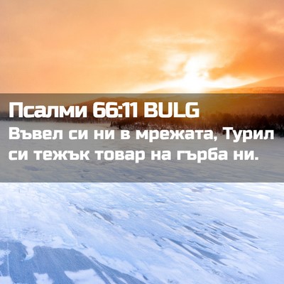 Picture 02 - Псалми 66:11 BULG - Въвел си ни в мрежата, - Bible Verse Picture