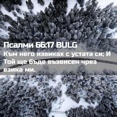 Picture 02 - Псалми 66:17 BULG - Към него извиках с устата - Bible Verse Picture