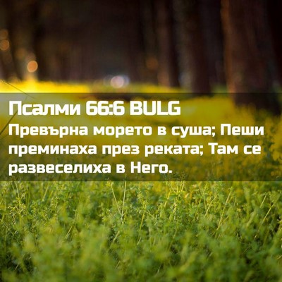 Picture 02 - Псалми 66:6 BULG - Превърна морето в суша; - Bible Verse Picture