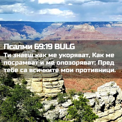 Picture 02 - Псалми 69:19 BULG - Ти знаеш как ме укоряват, - Bible Verse Picture