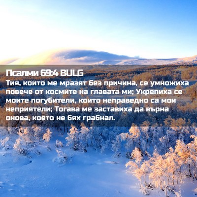 Picture 02 - Псалми 69:4 BULG - Тия, които ме мразят без - Bible Verse Picture