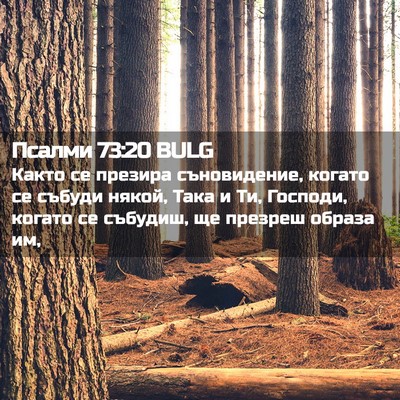 Picture 02 - Псалми 73:20 BULG - Както се презира - Bible Verse Picture