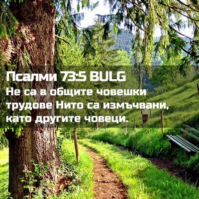 Picture 02 - Псалми 73:5 BULG - Не са в общите човешки - Bible Verse Picture