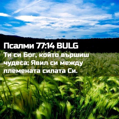 Picture 02 - Псалми 77:14 BULG - Ти си Бог, който вършиш - Bible Verse Picture