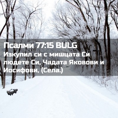 Picture 02 - Псалми 77:15 BULG - Изкупил си с мишцата Си - Bible Verse Picture