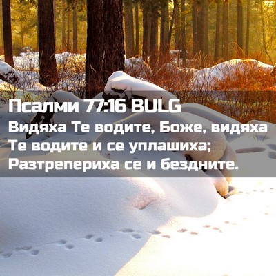Picture 02 - Псалми 77:16 BULG - Видяха Те водите, Боже, - Bible Verse Picture