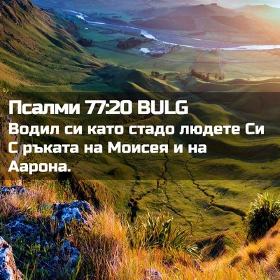 Picture 02 - Псалми 77:20 BULG - Водил си като стадо людете - Bible Verse Picture