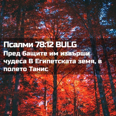 Picture 02 - Псалми 78:12 BULG - Пред бащите им извърши - Bible Verse Picture
