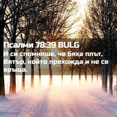 Picture 02 - Псалми 78:39 BULG - И си спомняше, че бяха плът, - Bible Verse Picture