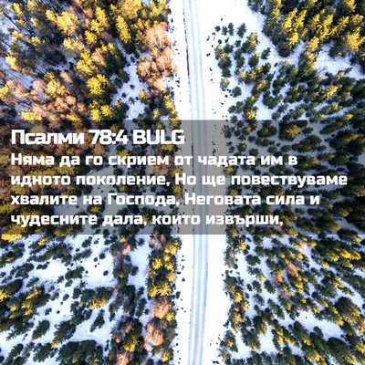 Picture 02 - Псалми 78:4 BULG - Няма да го скрием от чадата - Bible Verse Picture
