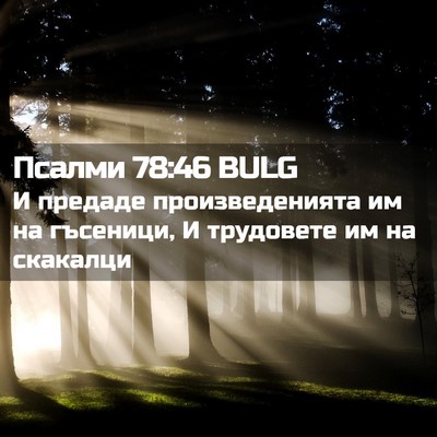 Picture 02 - Псалми 78:46 BULG - И предаде произведенията - Bible Verse Picture