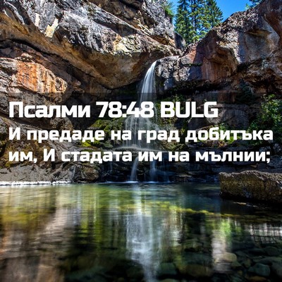 Picture 02 - Псалми 78:48 BULG - И предаде на град добитъка - Bible Verse Picture