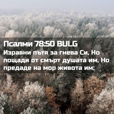 Picture 02 - Псалми 78:50 BULG - Изравни пътя за гнева Си, - Bible Verse Picture
