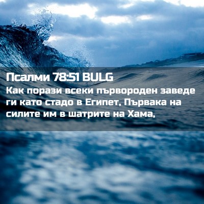 Picture 02 - Псалми 78:51 BULG - Как порази всеки - Bible Verse Picture