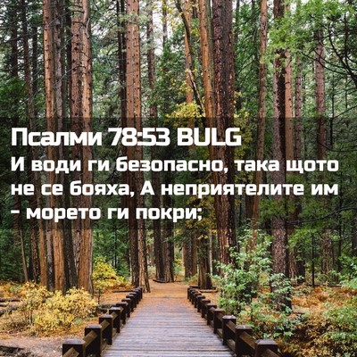 Picture 02 - Псалми 78:53 BULG - И води ги безопасно, така - Bible Verse Picture