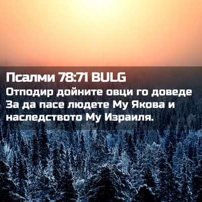 Picture 02 - Псалми 78:71 BULG - Отподир дойните овци го - Bible Verse Picture