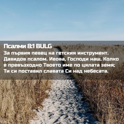 Picture 02 - Псалми 8:1 BULG - За първия певец на гетския - Bible Verse Picture