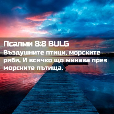 Picture 02 - Псалми 8:8 BULG - Въздушните птици, морските - Bible Verse Picture