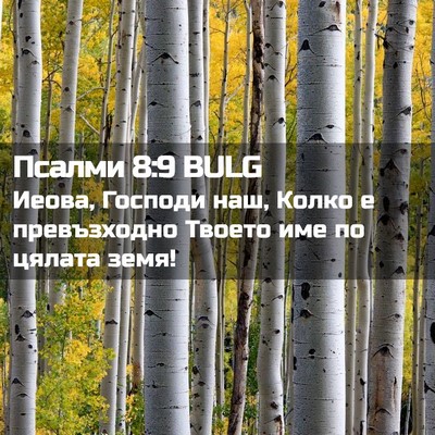 Picture 02 - Псалми 8:9 BULG - Иеова, Господи наш, Колко е - Bible Verse Picture