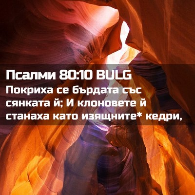 Picture 02 - Псалми 80:10 BULG - Покриха се бърдата със - Bible Verse Picture