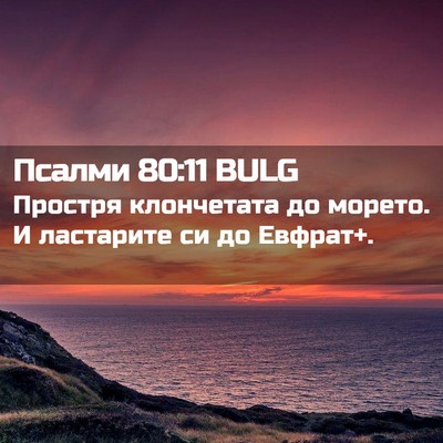 Picture 02 - Псалми 80:11 BULG - Простря клончетата до - Bible Verse Picture