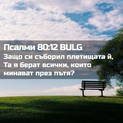 Picture 02 - Псалми 80:12 BULG - Защо си съборил плетищата - Bible Verse Picture