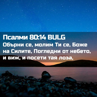 Picture 02 - Псалми 80:14 BULG - Обърни се, молим Ти се, Боже - Bible Verse Picture