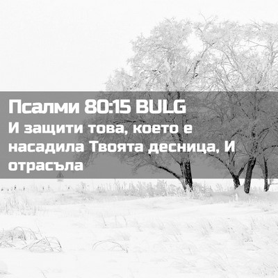 Picture 02 - Псалми 80:15 BULG - И защити това, което е - Bible Verse Picture