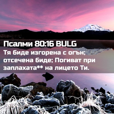 Picture 02 - Псалми 80:16 BULG - Тя биде изгорена с огън; - Bible Verse Picture