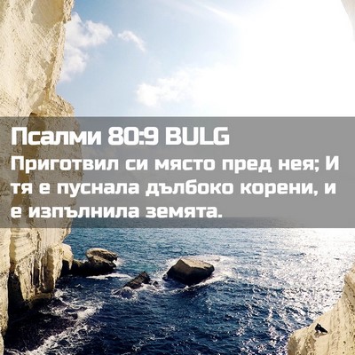Picture 02 - Псалми 80:9 BULG - Приготвил си място пред - Bible Verse Picture