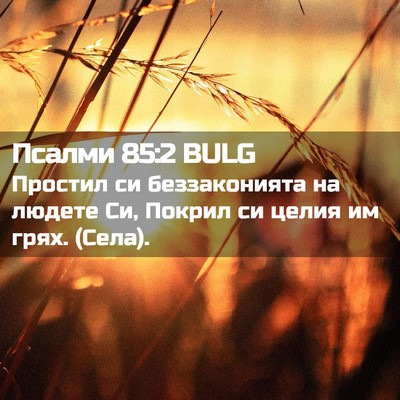 Picture 02 - Псалми 85:2 BULG - Простил си беззаконията на - Bible Verse Picture